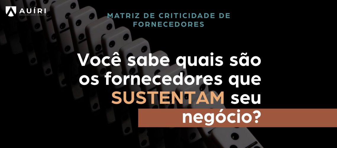 Matriz de Criticidade de Fornecedores