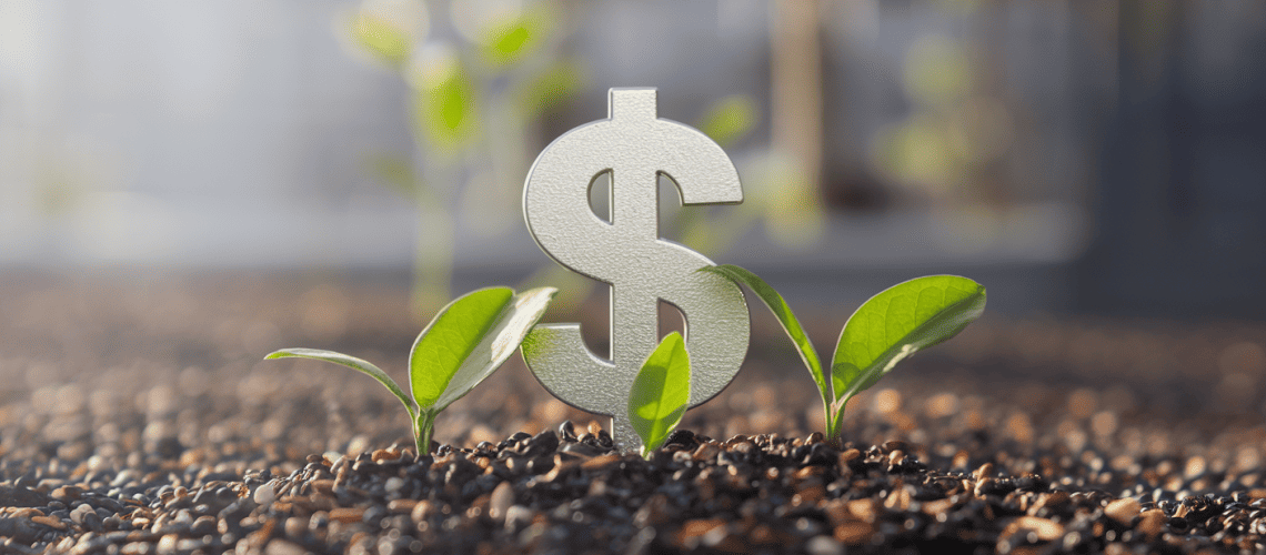 investimento sustentável